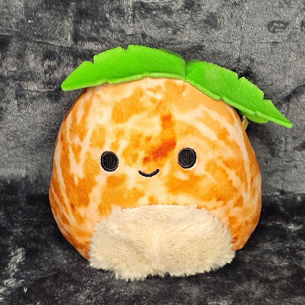 Squishmallows Walley the Palm Tree Coconut Scented Mystery Squad 5" Plush